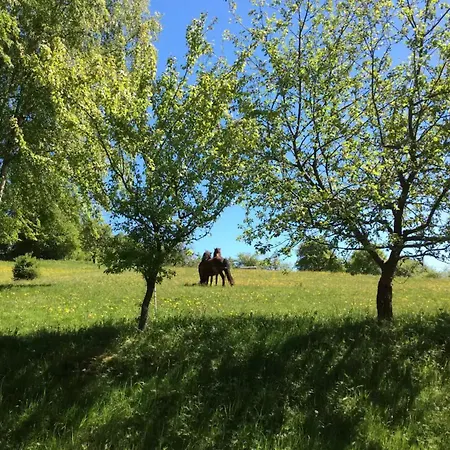 Lägenhet Ziegler Wildflecken