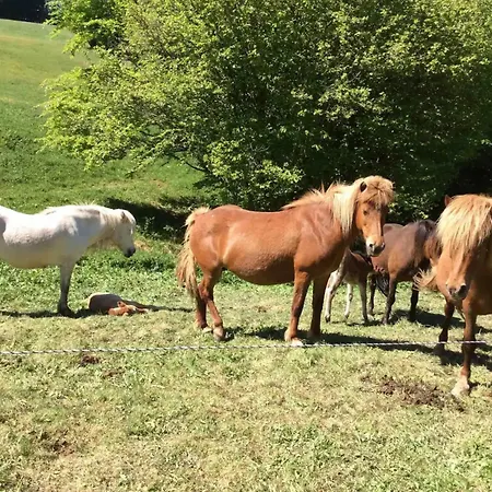 Lägenhet Ziegler